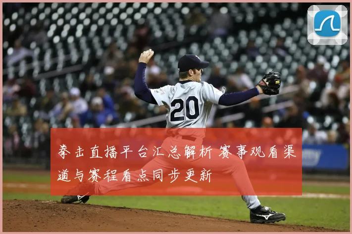 拳击直播平台汇总解析 赛事观看渠道与赛程看点同步更新