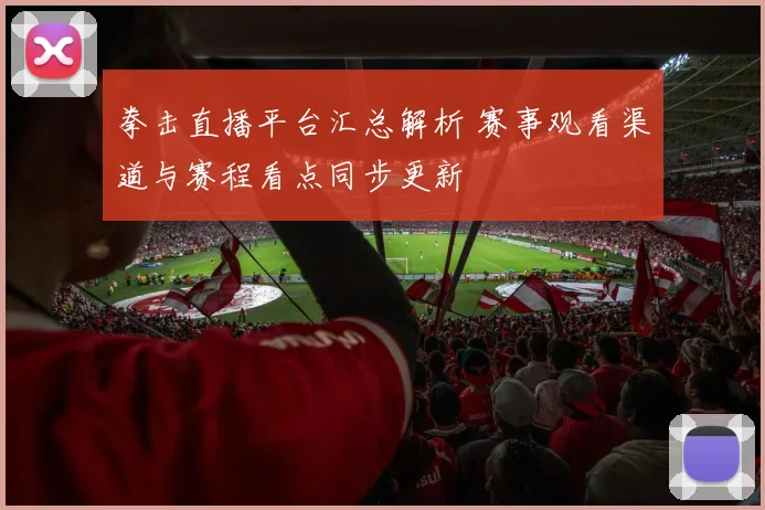 拳击直播平台汇总解析 赛事观看渠道与赛程看点同步更新