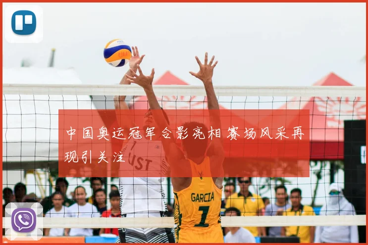 中国奥运冠军合影亮相 赛场风采再现引关注