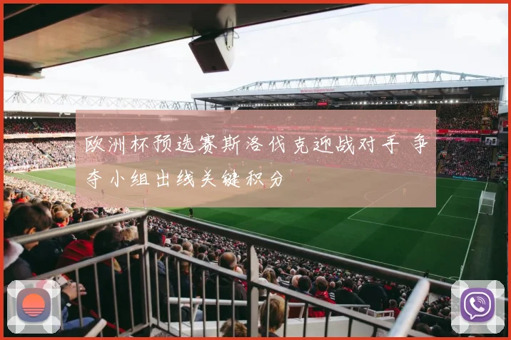欧洲杯预选赛斯洛伐克迎战对手 争夺小组出线关键积分