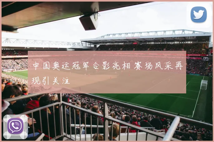 中国奥运冠军合影亮相 赛场风采再现引关注